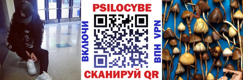 где продают наркотики  Александров  Галлюциногенные грибы MAGIC MUSHROOMS 